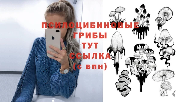 MDMA Premium VHQ Богданович