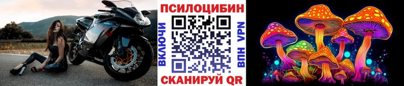 Псилоцибиновые грибы ЛСД  продажа наркотиков  Касимов 