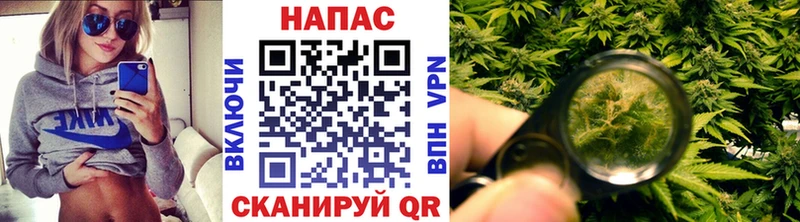 Бошки марихуана Amnesia Касимов